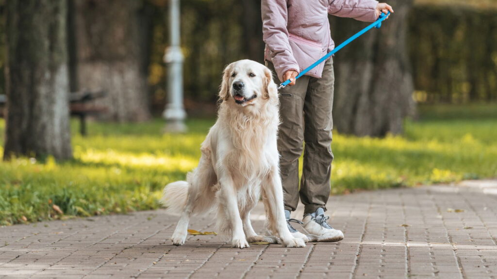 Endividamento crescente comprometendo a sustentabilidade financeira da empresa