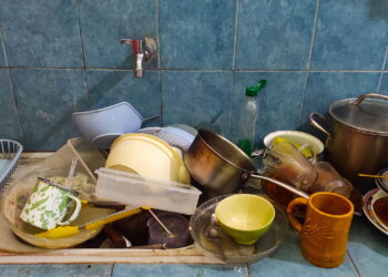 Por que deixar louça suja à noite atrai tantas pragas?