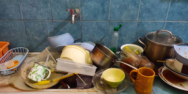Por que deixar louça suja à noite atrai tantas pragas?
