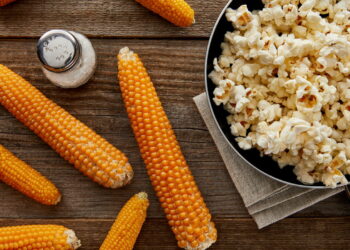 Pipoca é o lanche saudável mais eficaz para saciar e emagrecer