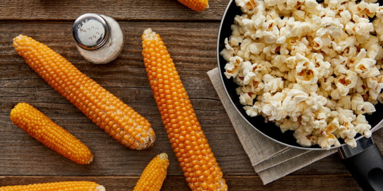 Pipoca é o lanche saudável mais eficaz para saciar e emagrecer