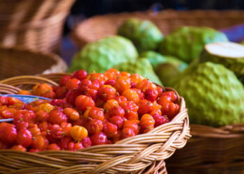 Confira o guia completo para cultivar esse tesouro exótico no seu quintal!