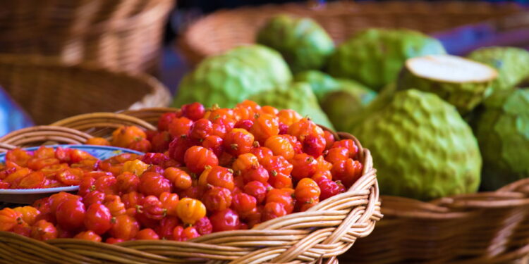 Confira o guia completo para cultivar esse tesouro exótico no seu quintal!