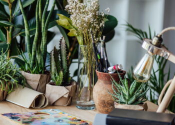 Será que seu signo está entre os que mais esquecem de regar plantas