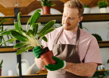As 6 plantas que purificam o ar e renovam seu espaço individual!