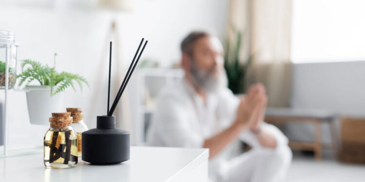 Plantas que trazem bem-estar emocional e afastam energias ruins