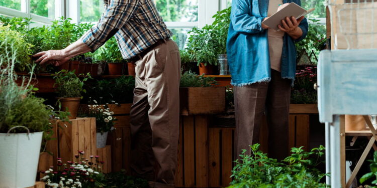 As 3 plantas que prosperam em ambientes úmidos e frescos da sua casa