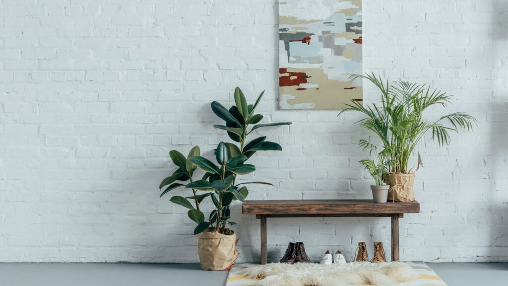 As 5 plantas que ajudam a melhorar o foco e a concentração!