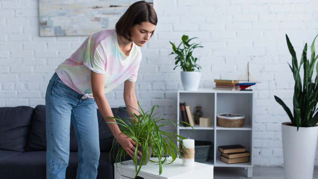 As 4 plantas que você pode cultivar na cozinha e que também ajudam na digestão