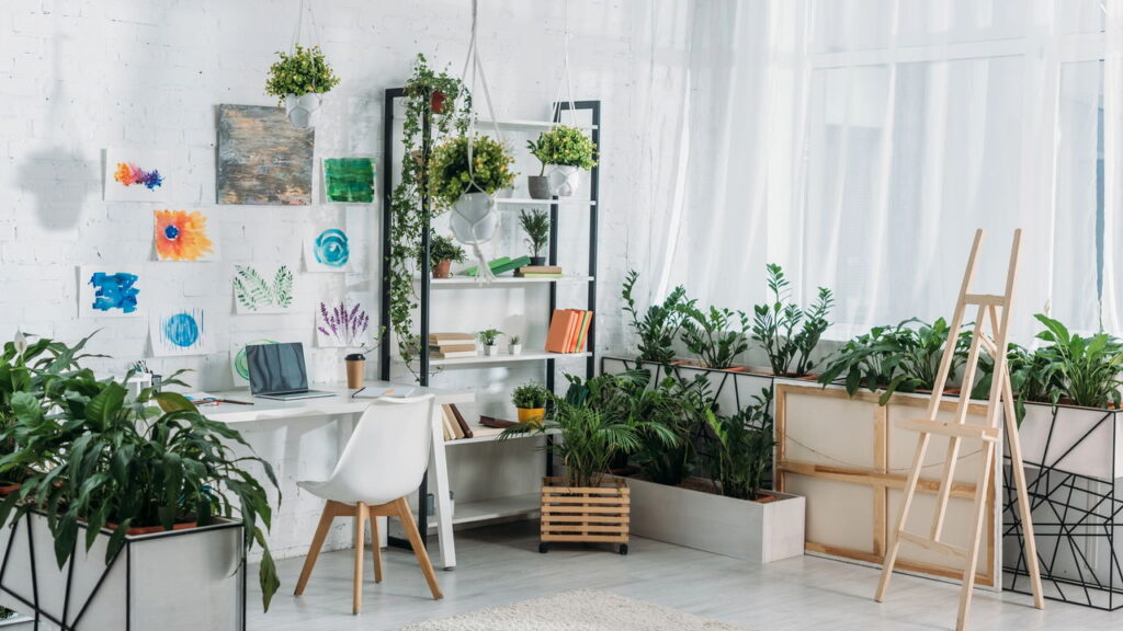 As 5 plantas ideais para quem deseja aumentar a umidade e melhorar o ar em casa