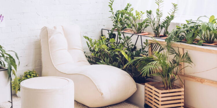 As 5 plantas perfeitas para ambientes da sua casa úmidos e escuros!