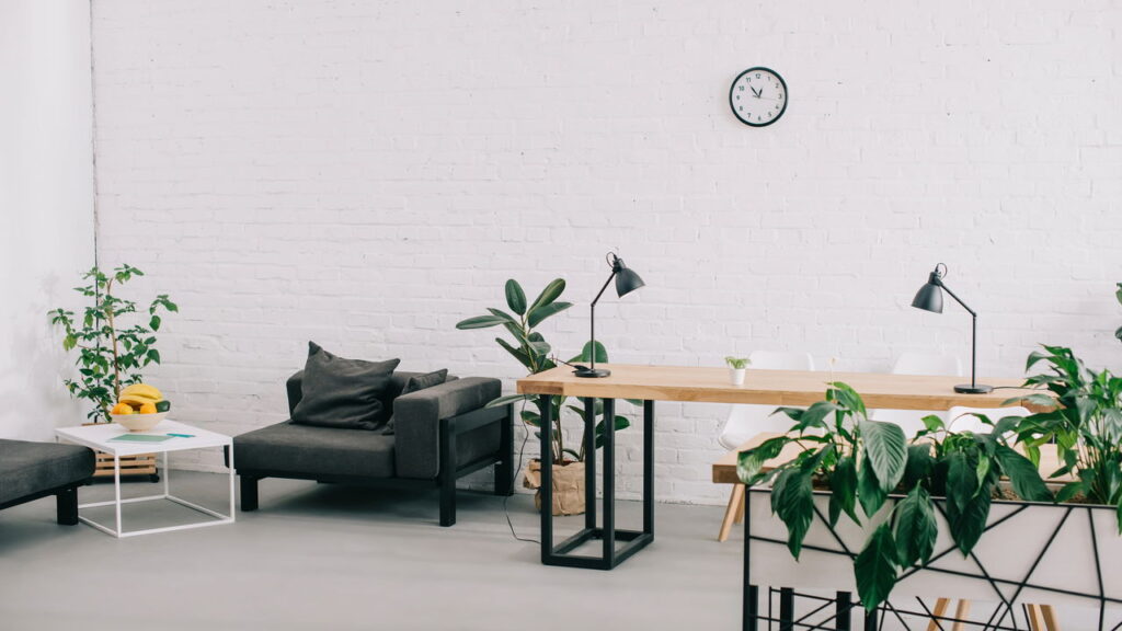 As 4 plantas que você pode cultivar para ajudar na digestão e melhorar a saúde intestinal!