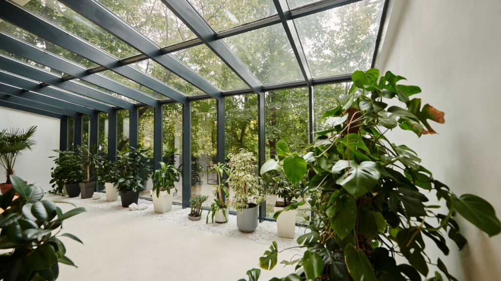 As 4 plantas que você pode cultivar para ajudar na digestão e melhorar a saúde intestinal!