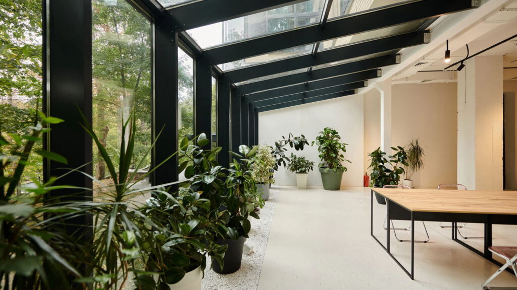 As 5 plantas raras e incríveis que estão virando tendência no paisagismo