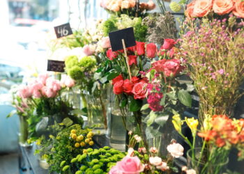 As 3 plantas que conquistam o inverno com flores e folhas perfeitas