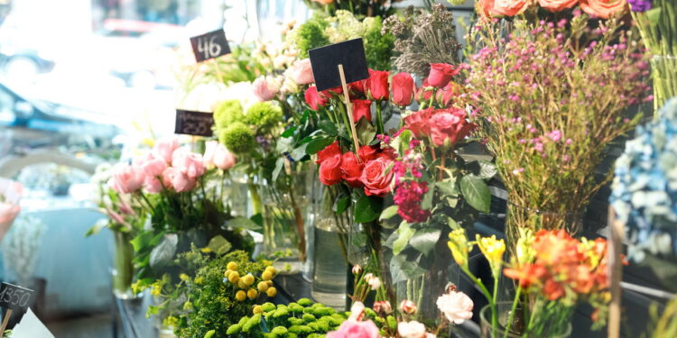 As 3 plantas que conquistam o inverno com flores e folhas perfeitas