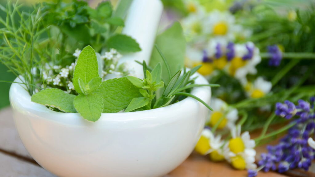 Plantas de interior que vão melhorar o ambiente da sua casa