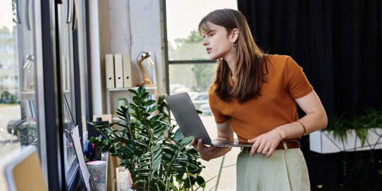 As 6 plantas ideais para decoração moderna