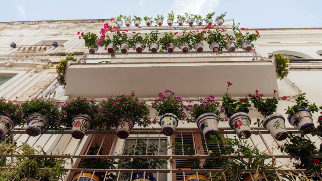 5 plantas que funcionam como repelente natural em varandas e sacadas