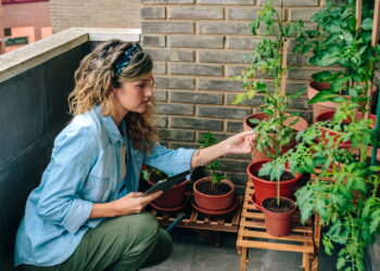 As 3 plantas que prosperam em varandas e sacadas pequenas