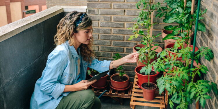 As 3 plantas que prosperam em varandas e sacadas pequenas