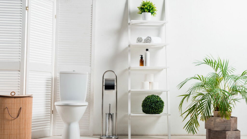 As 3 plantas que deixam o banheiro mais elegante