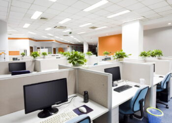 As 3 plantas perfeitas para ambientes de escritório e home office