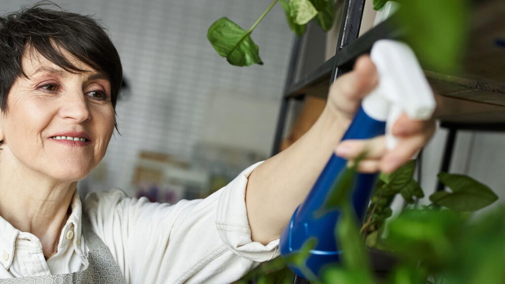 O melhor guia de adubação para deixar suas plantas mais saudáveis