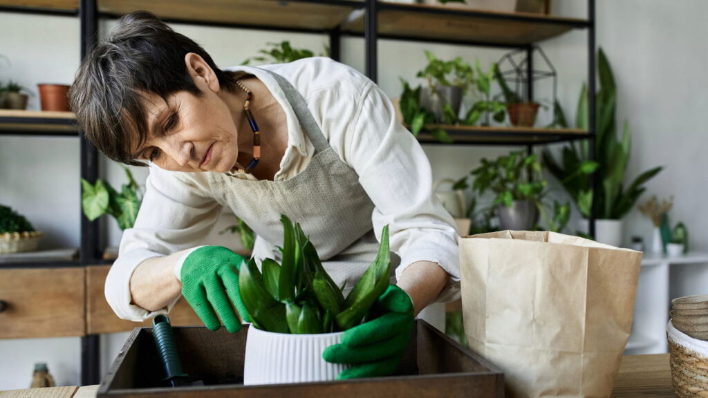 As 5 plantas sazonais que trazem uma cor diferente e única a cada estação do ano!