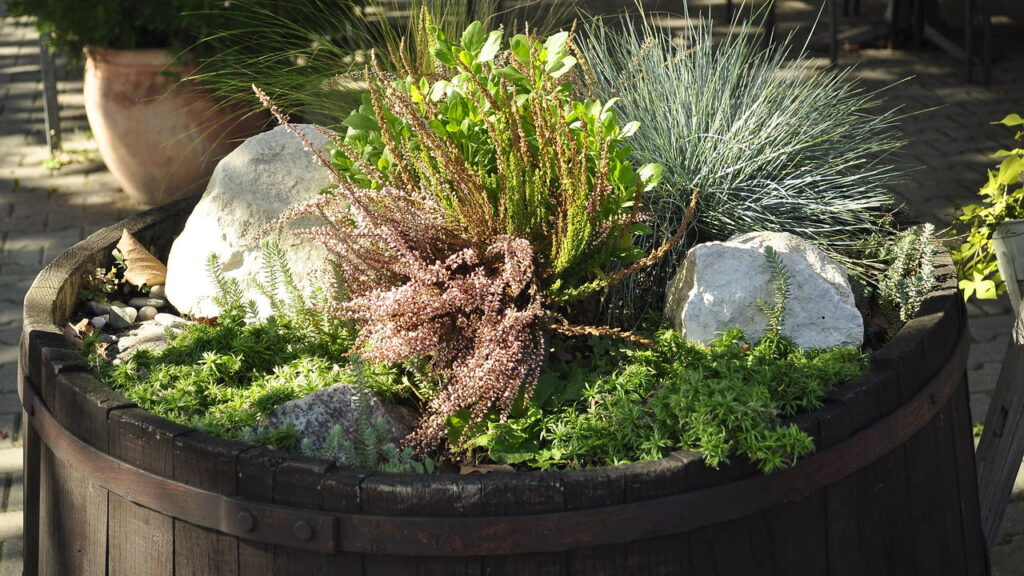As 5 plantas sazonais que trazem uma cor diferente e única a cada estação do ano!