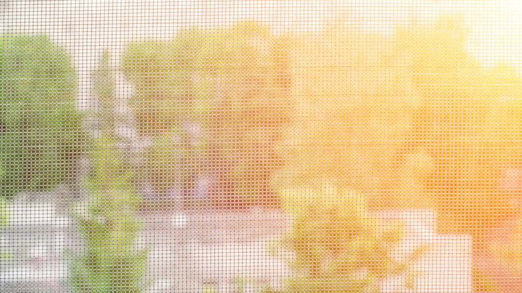 Como acabar com mosquitinhos de banheiro