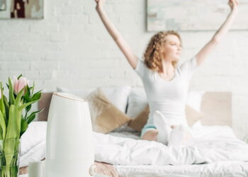 Ambiente limpo e natural com plantas que eliminam poluentes do ar