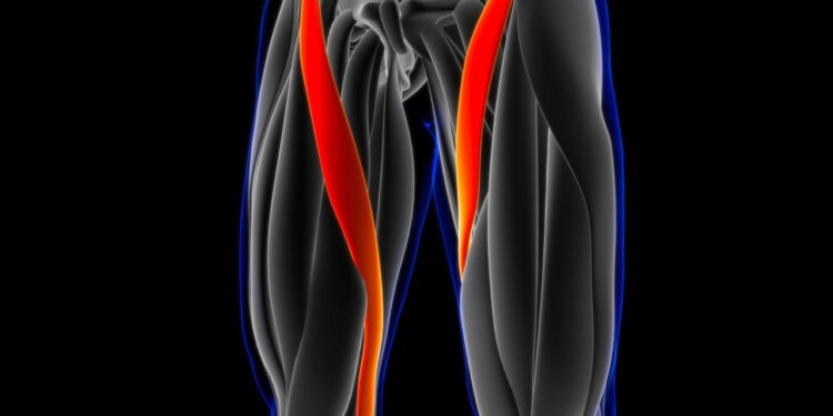 Os melhores exercícios para fortalecer o quadríceps com eficiência