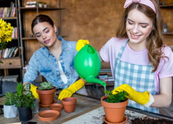O horário ideal para regar que pode salvar suas plantas