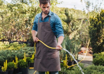 Nem rega diária, nem seca total: o segredo para manter a espada-de-são-jorge sempre firme