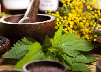 O maior mito sobre remédios caseiros que ainda engana muita gente