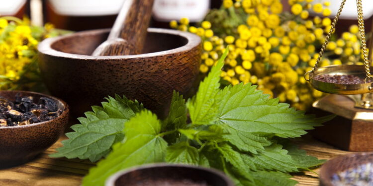 O maior mito sobre remédios caseiros que ainda engana muita gente