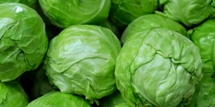 Vegetal essencial na dieta agora pode ser cultivado de forma fácil e rápida!