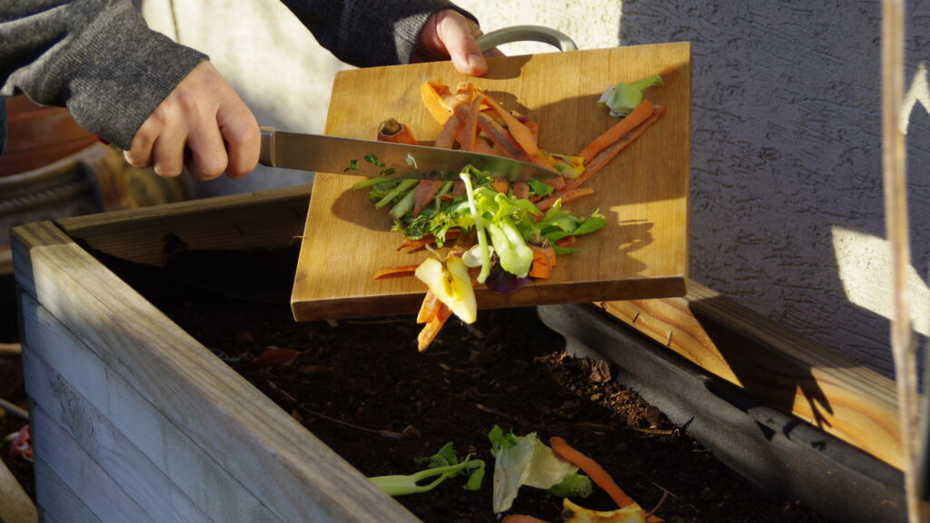 As 4 plantas para cultivar em janelas e que você pode comer