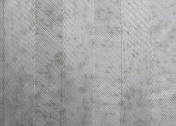 Técnica fácil para remover mofo de cortinas e tapetes sem esforço