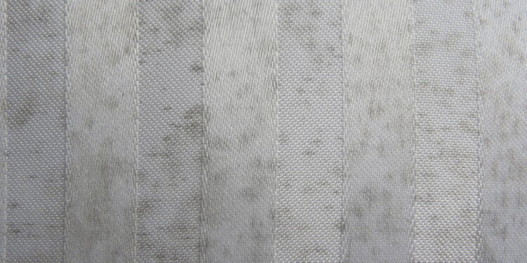 Técnica fácil para remover mofo de cortinas e tapetes sem esforço