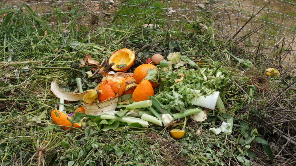 Como reaproveitar restos da cozinha para adubar suas plantas