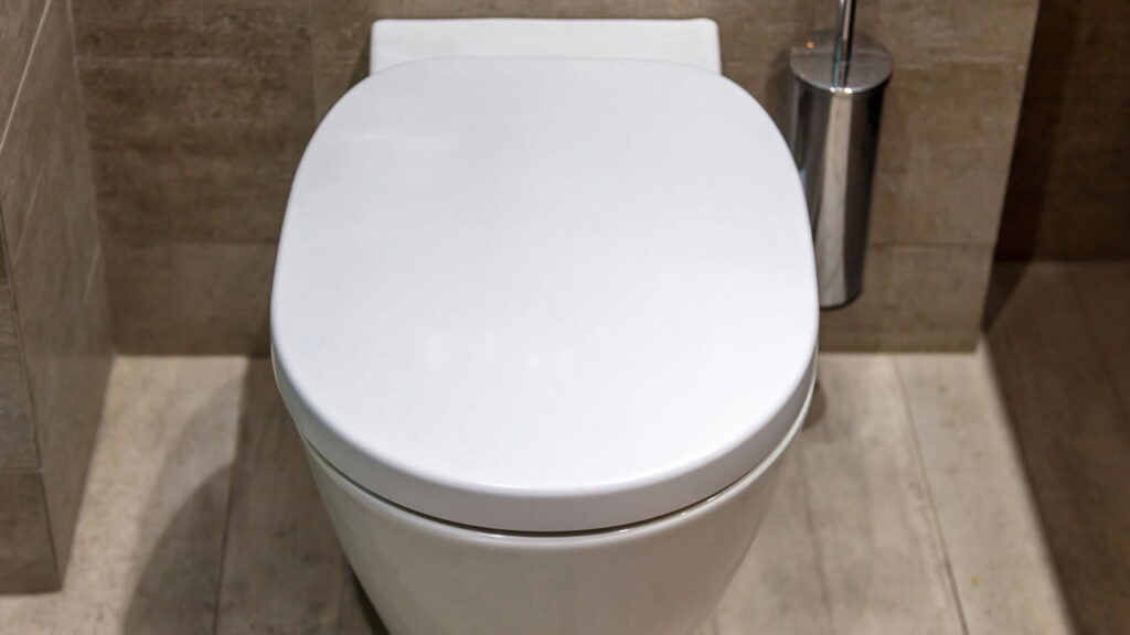 Um truque simples que mantém o vaso sanitário livre de pragas