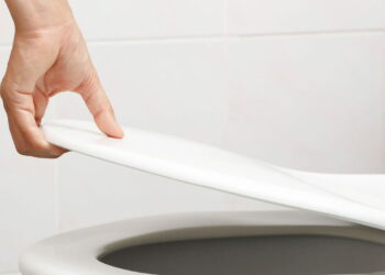 Um truque simples que mantém o vaso sanitário livre de pragas