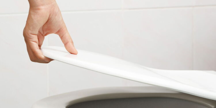 Um truque simples que mantém o vaso sanitário livre de pragas