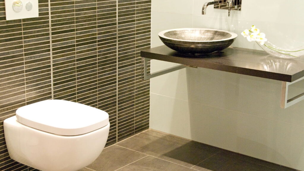 Esse truque simples mantém o vaso sanitário livre de pragas