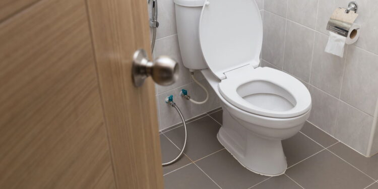 Esse truque simples mantém o vaso sanitário livre de pragas