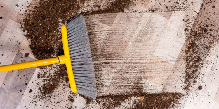 Não use vassoura para limpar a casa se tem alergia, use isso