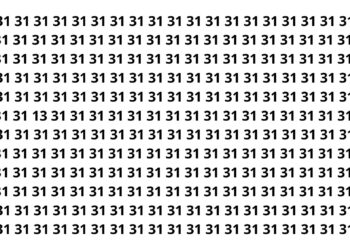 Apenas 3 em 10 conseguem achar o número 13 nesse desafio visual