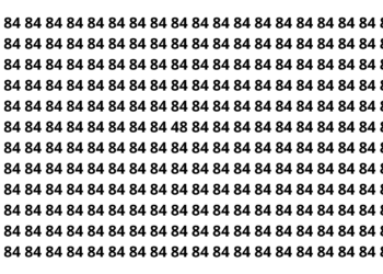 Só os mais atentos conseguem ver o número 48 em 12 segundos